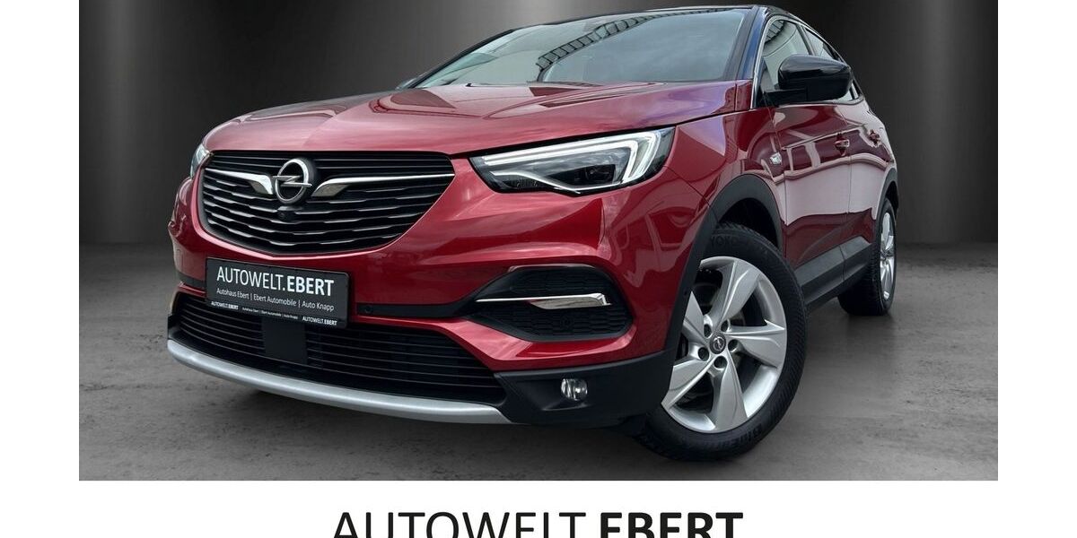 Opel Grandland (X) 84.400 km 18.220 &euro; Frankenthal 67227