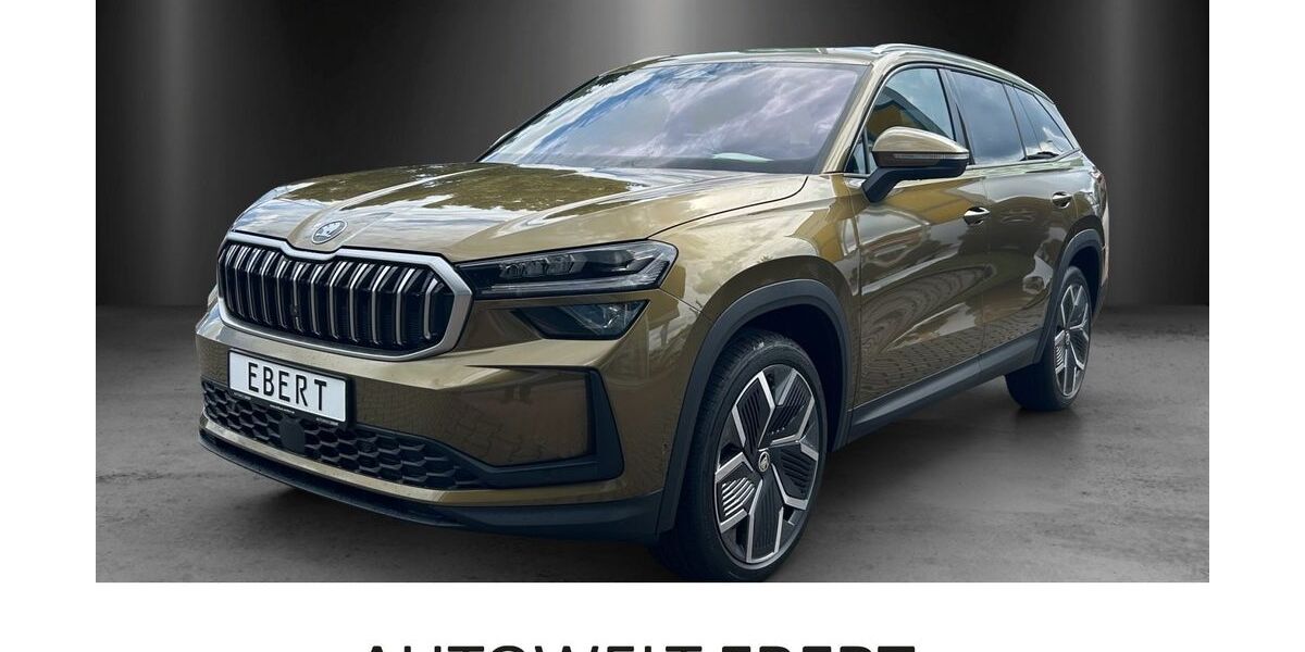 Skoda Kodiaq 4.990 km 53.480 &euro; Heidelberg 69123