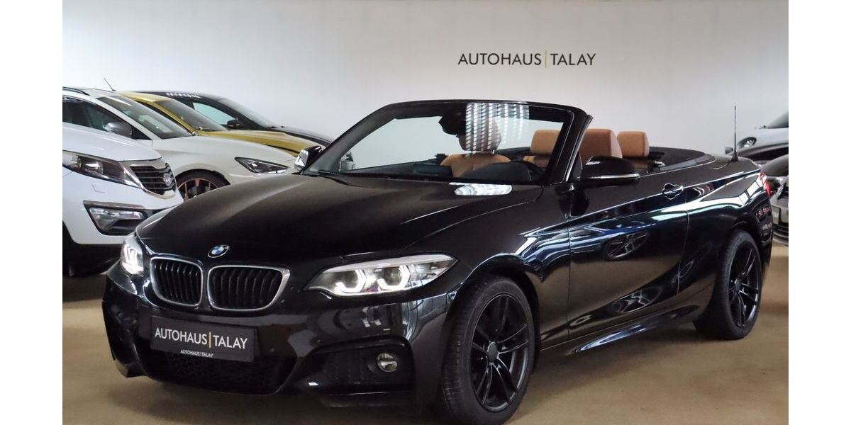 BMW 230 99.850 km 26.880 &euro; Ludwigshafen am Rhein 67059