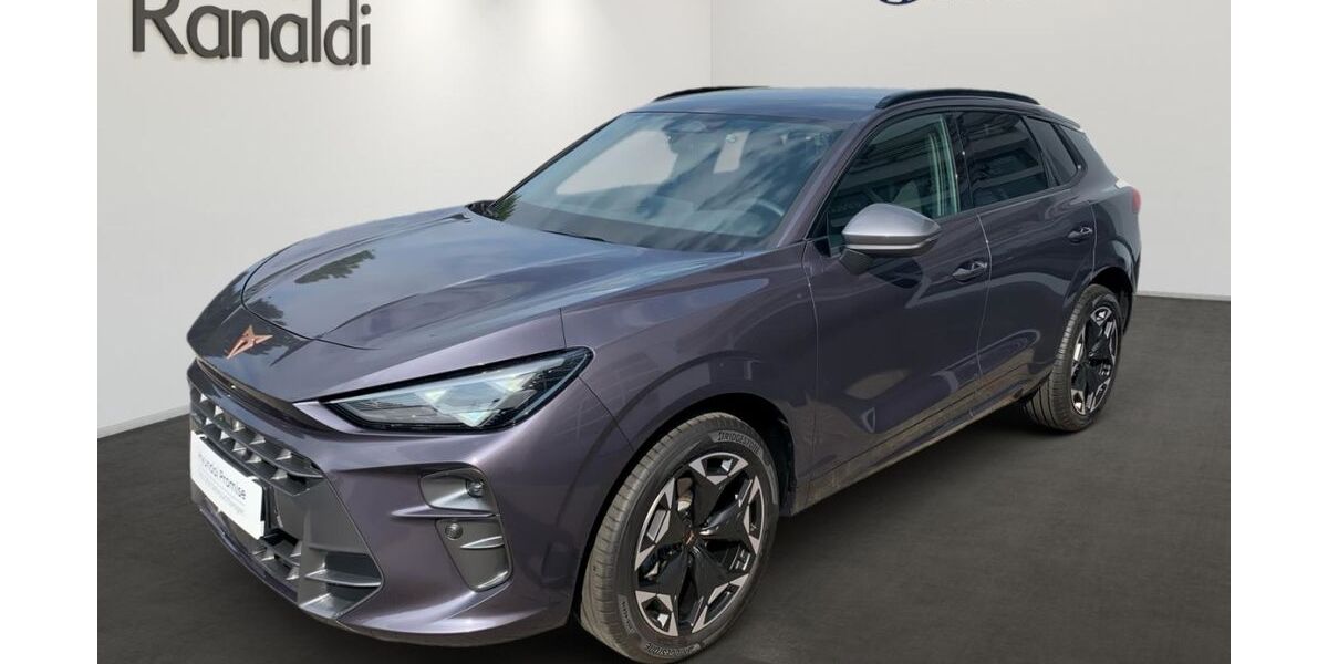 Cupra Terramar 1.900 km 33.990 &euro; Wiesloch 69168