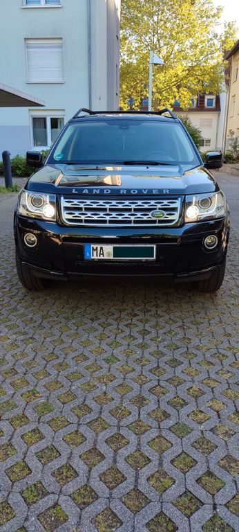 Gebrauchte Land Rover Freelander