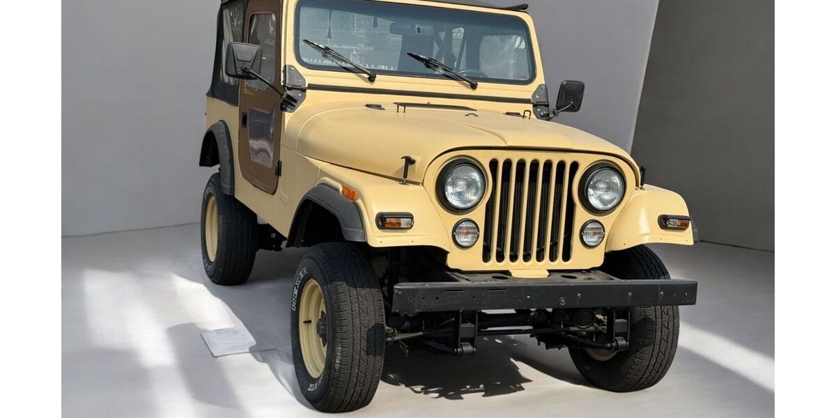 Jeep CJ 188.000 km 13.900 &euro; Heidelberg 69115