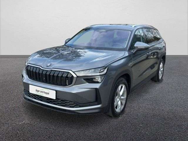 Skoda Kodiaq 23.000 km 42.900 &euro; Speyer 67346
