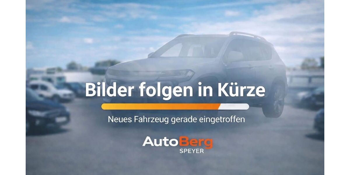 VW Polo 171.244 km 3.490 &euro; Speyer 67346