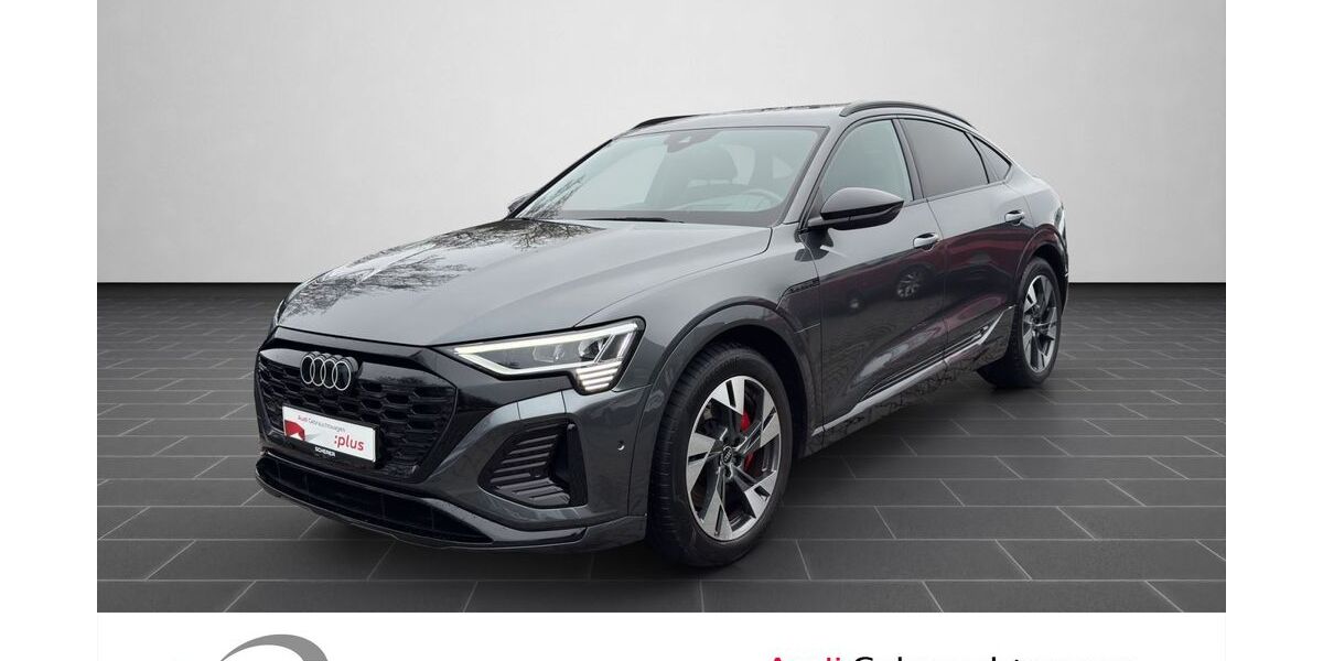 Audi Q8 e-tron 21.639 km 53.900 &euro; Ludwigshafen 67063