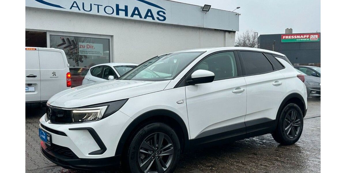 Opel Grandland (X) 89.800 km 17.490 &euro; Viernheim 68519
