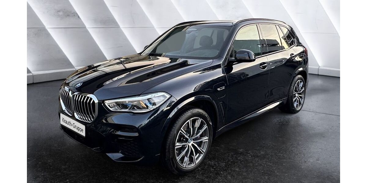 BMW X5 114.100 km 51.400 &euro; Walldorf 69190