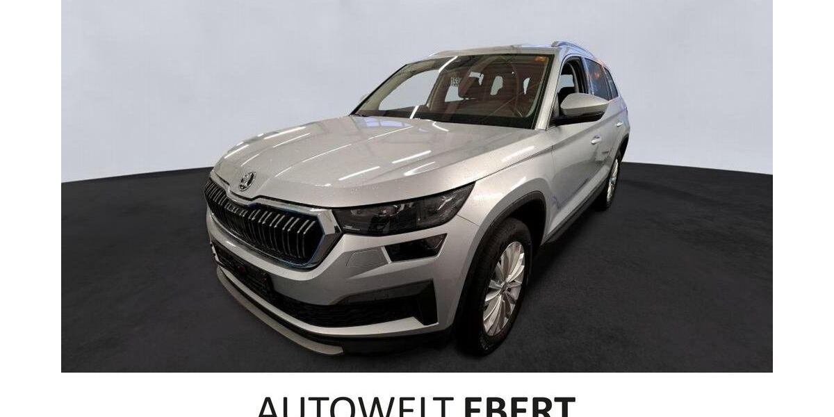 Skoda Kodiaq 51.600 km 35.890 &euro; Weinheim 69469