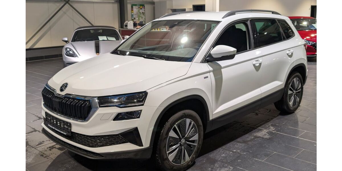 Skoda Karoq 119.000 km 23.900 &euro; Weinheim 69469