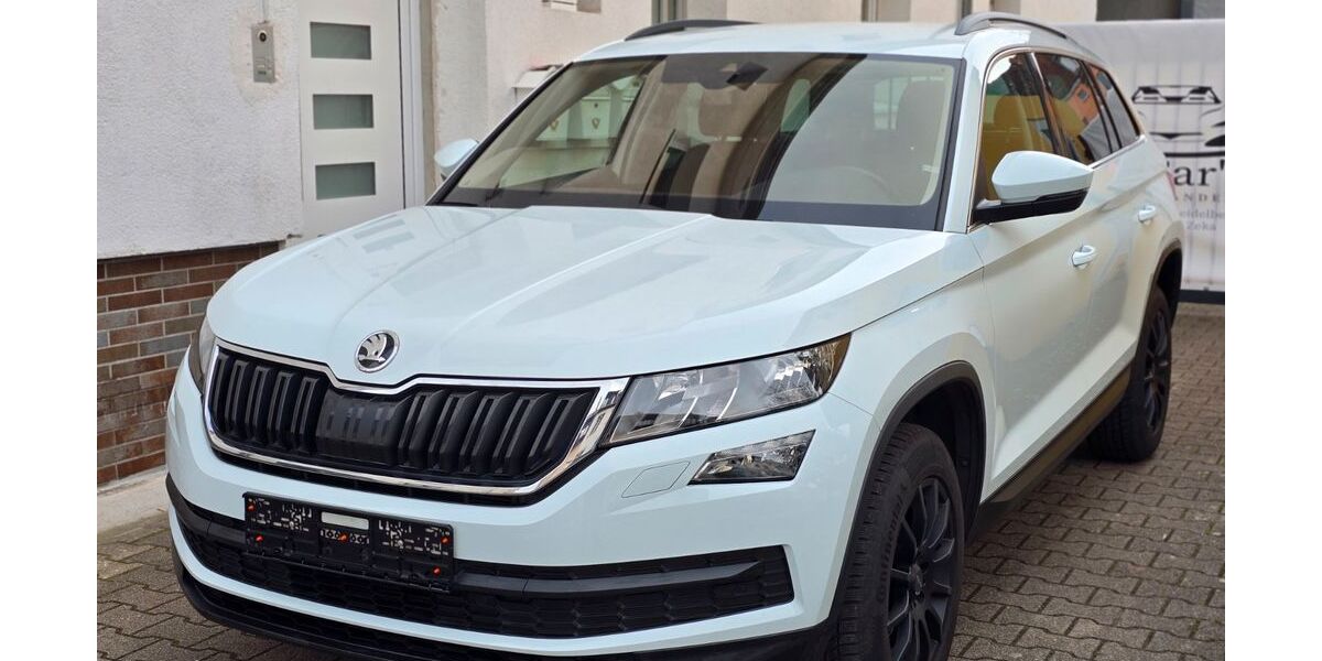Skoda Kodiaq 162.550 km 17.990 &euro; Heidelberg 69124