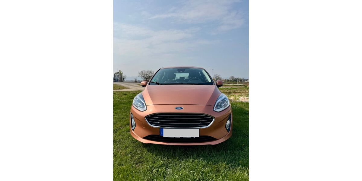 Ford Fiesta 100.605 km 14.590 &euro; Böhl-Iggelheim 67459