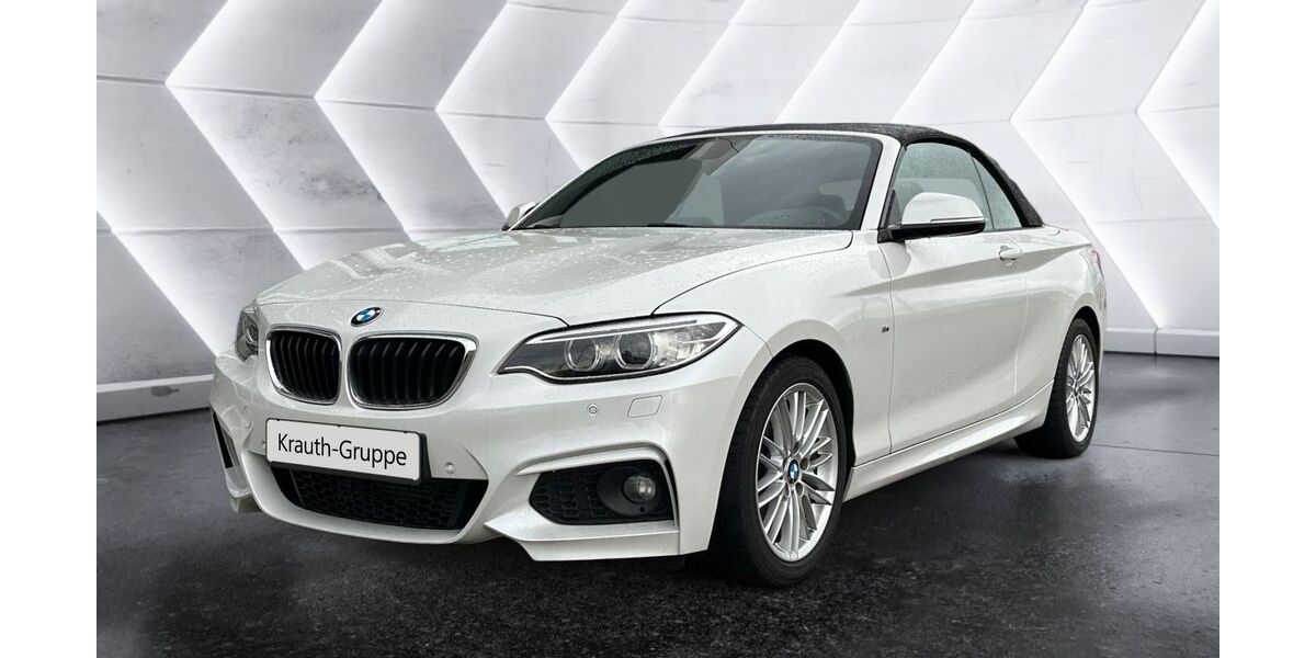 BMW 218 60.700 km 21.900 &euro; Hockenheim 68766