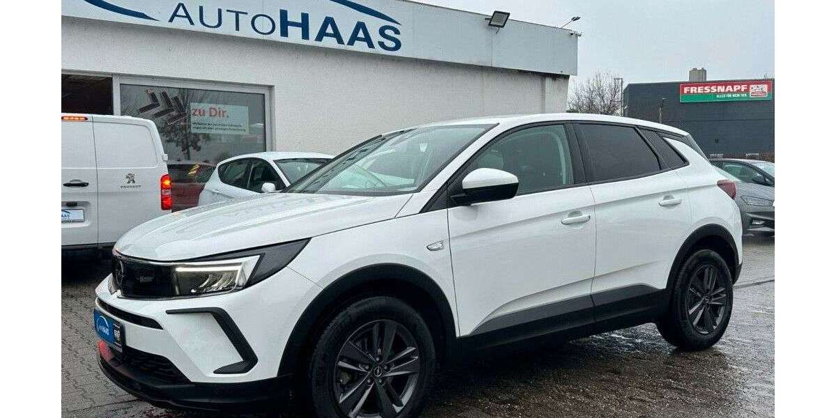 Opel Grandland X 89.800 km 17.490 &euro; Viernheim 68519