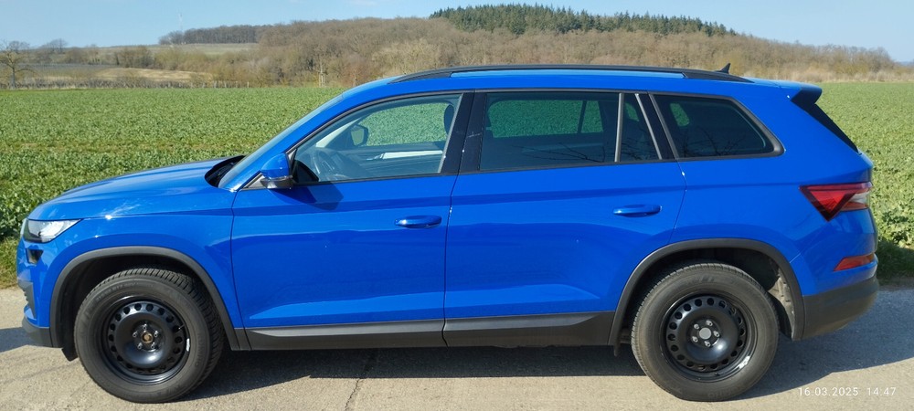 Skoda Kodiaq 25.500 km 27.500 &euro; Mühlhausen 69242